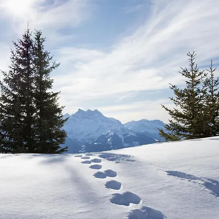 Les Girolles B15 By Interhome Villars-sur-Ollon