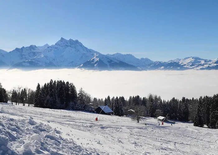 Apartament Les Girolles B15 By Interhome Villars-sur-Ollon