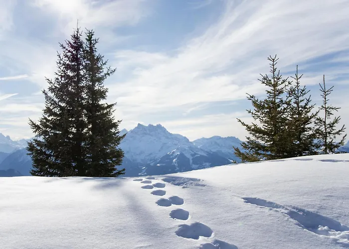 Les Girolles B15 By Interhome Villars-sur-Ollon